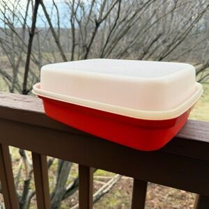 Vintage Tupperware Season-Serve Marinating Container - large size